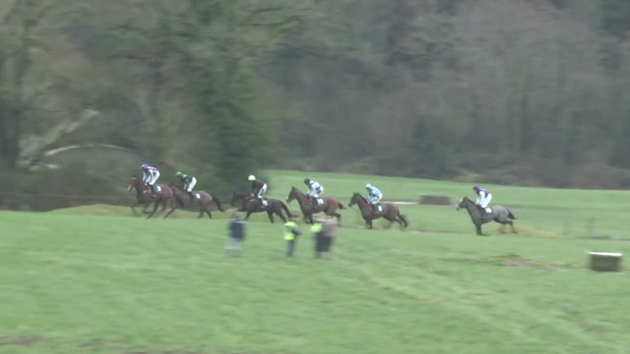 P2P - Ballinaboola - 07 Feb 26 - R1 Goffs & Rathturtin Stud 4yo Maiden