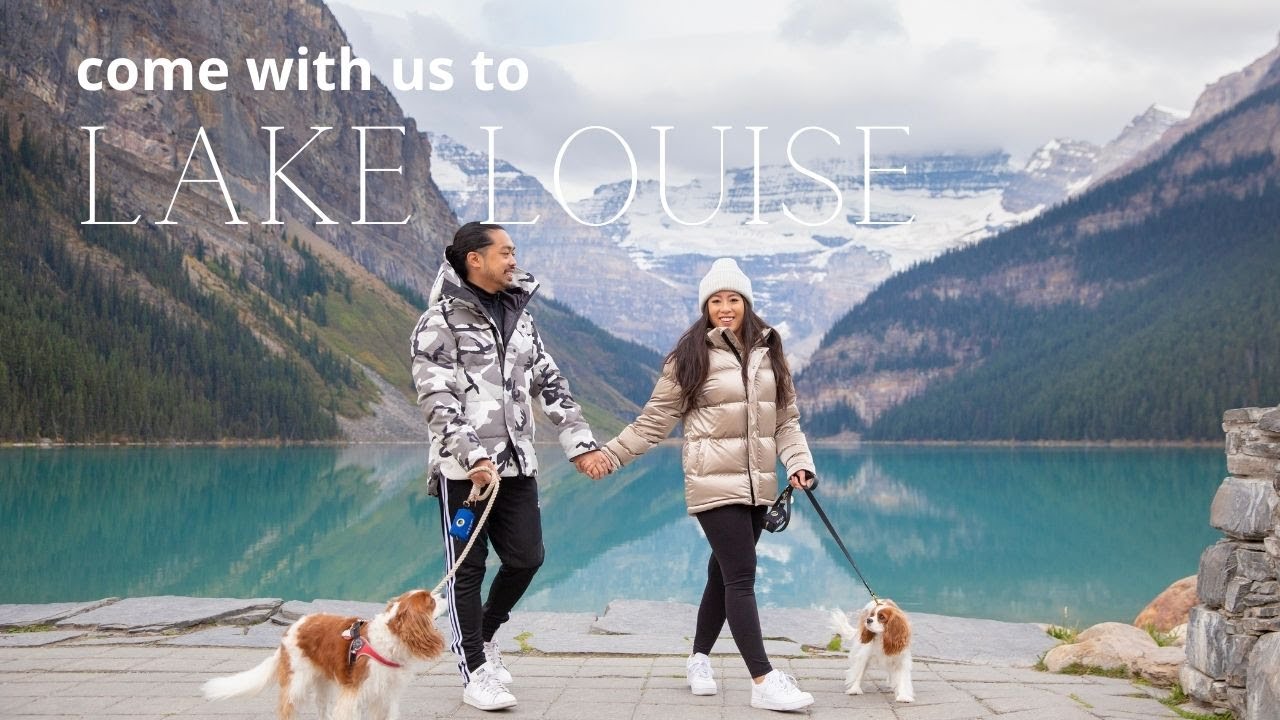 OUR STAY AT THE FAIRMONT CHÂTEAU LAKE LOUISE DOG FRIENDLY // Cavalier King Charles vlog