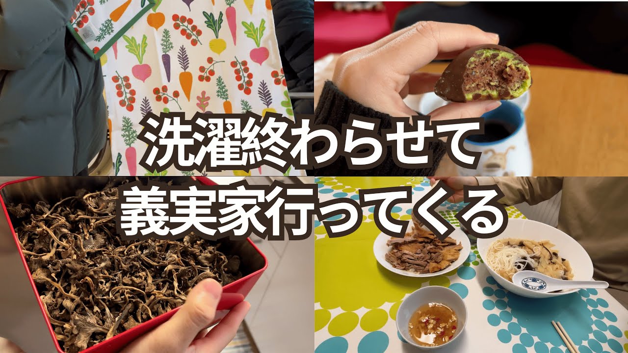 #海外Vlog 洗濯終わらせて義母に会いに行く週末｜ベトナム系義実家訪問【スウェーデン6】