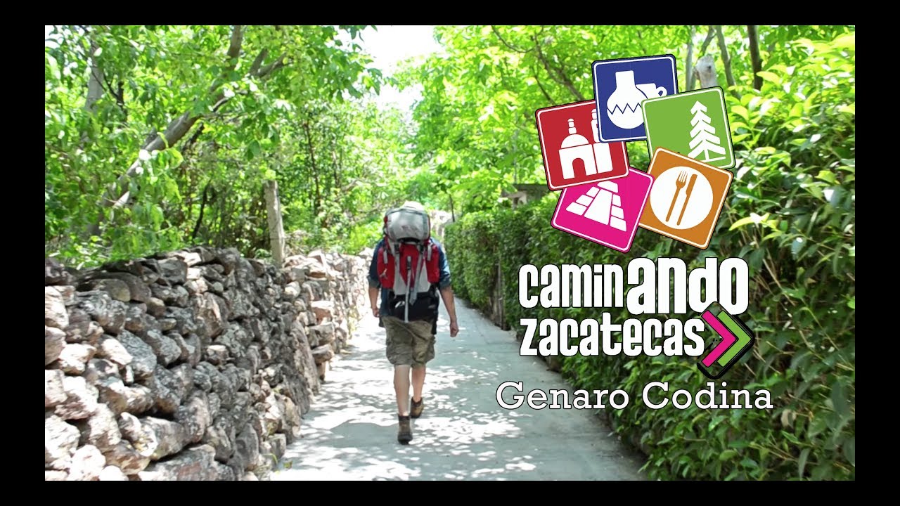 Caminando Zacatecas Genaro Codina