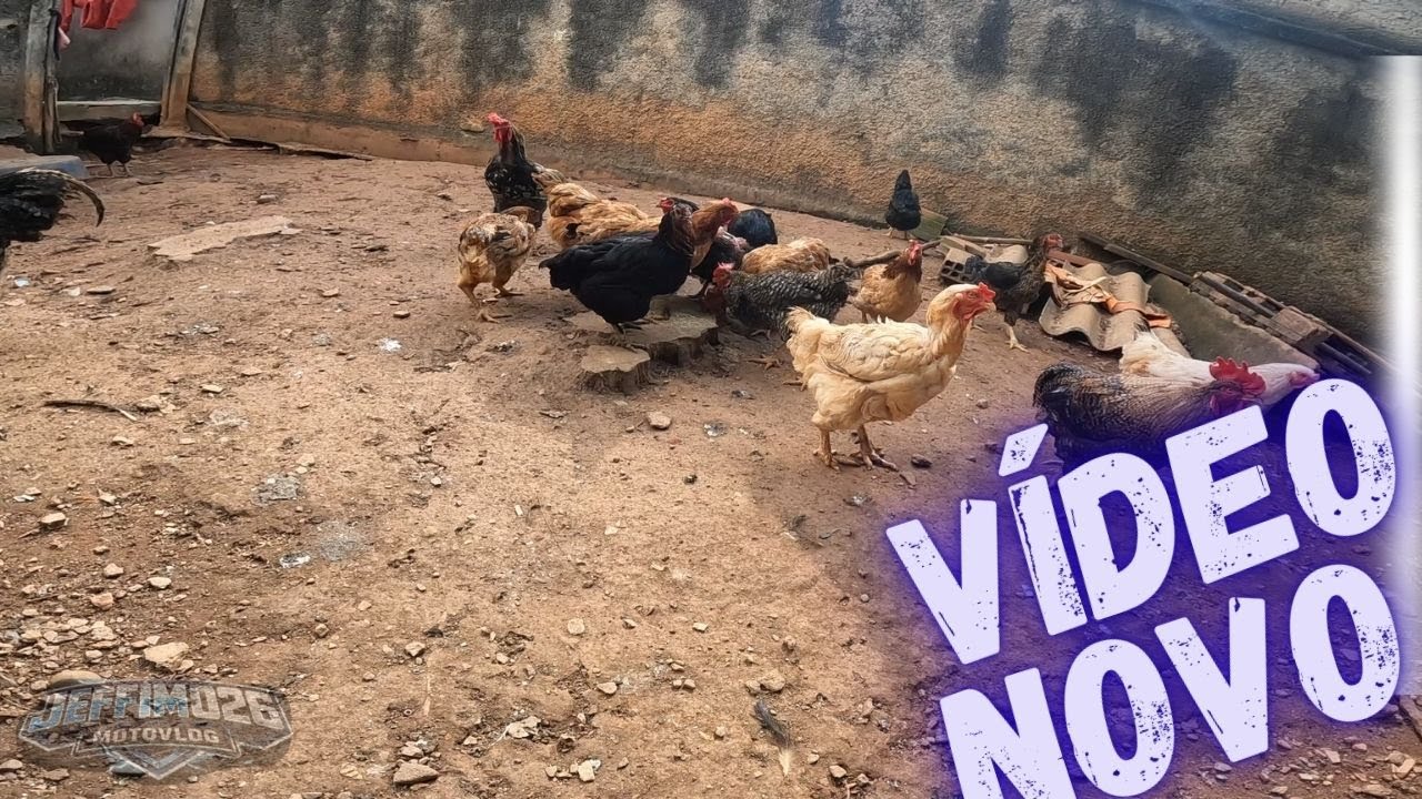 Vlog em casa diferente !!
