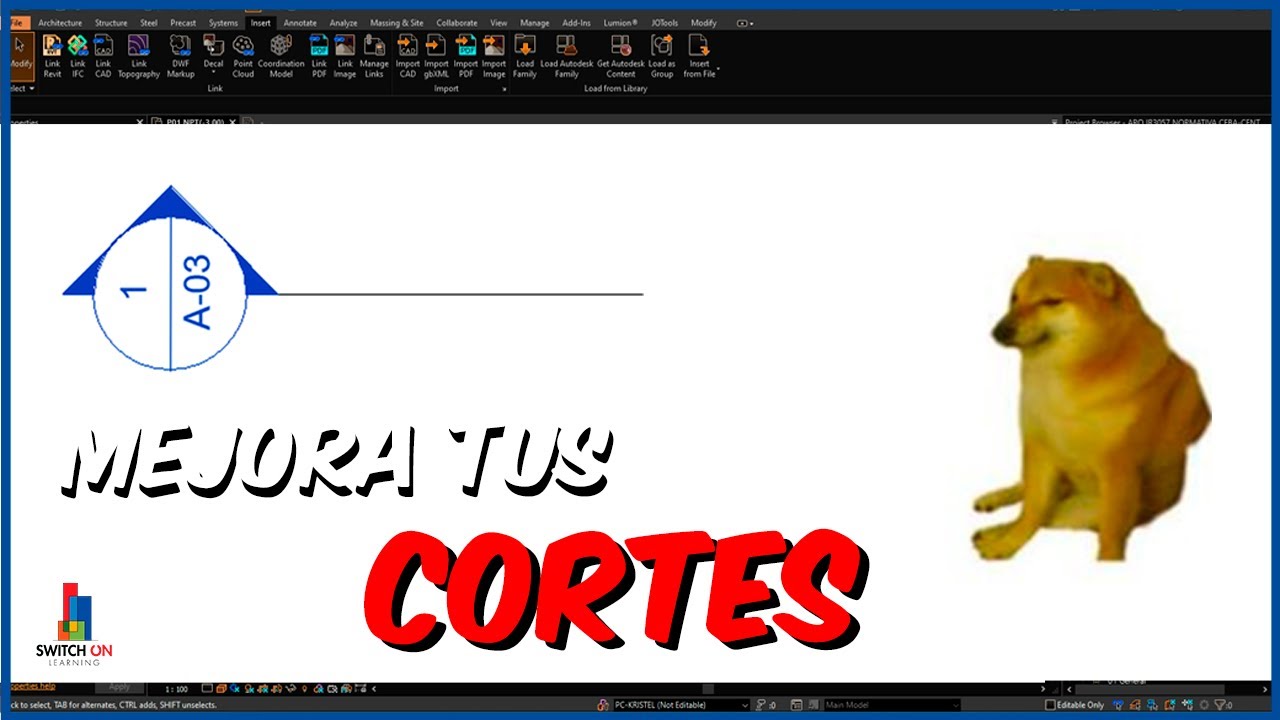 Curso Revit 2021 |Familias | Clase 13 - Simbología de Corte