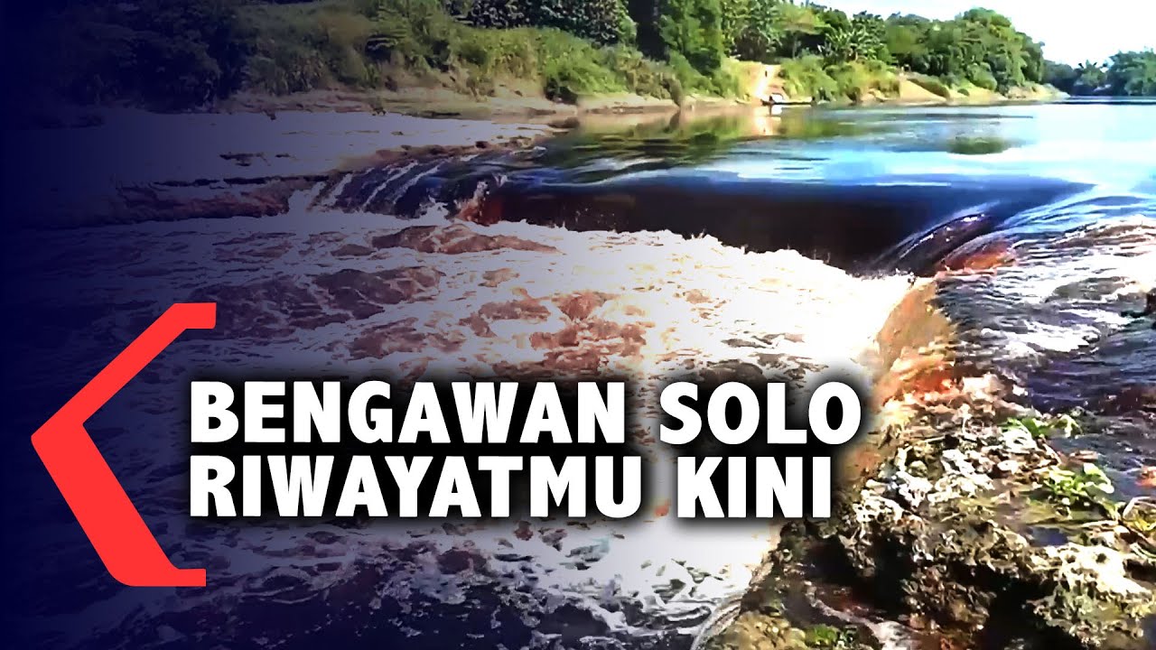 Bengawan Solo Kembali Tercemar
