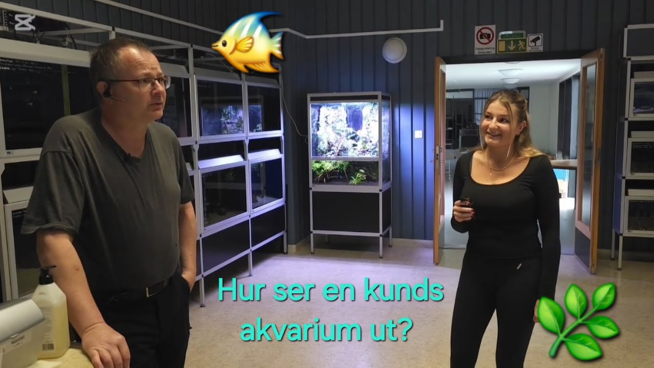 Vi sätter upp ett akvarium hos kund! 🐠🌿