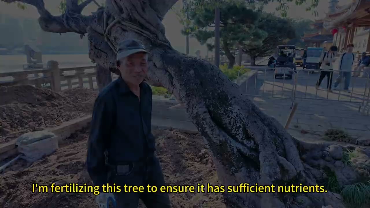 JIangxin Island COMM 3202 Documentary Film