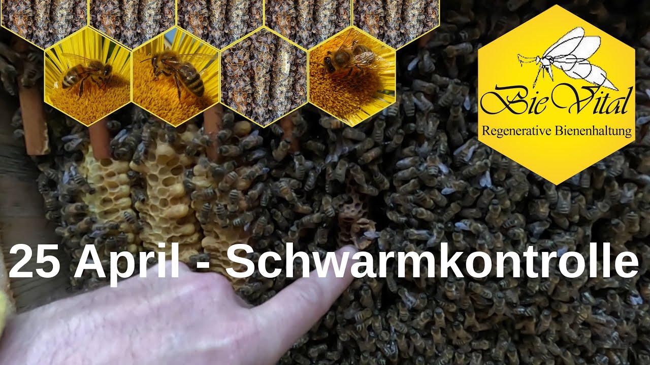 25 April - Schwarmkontrolle