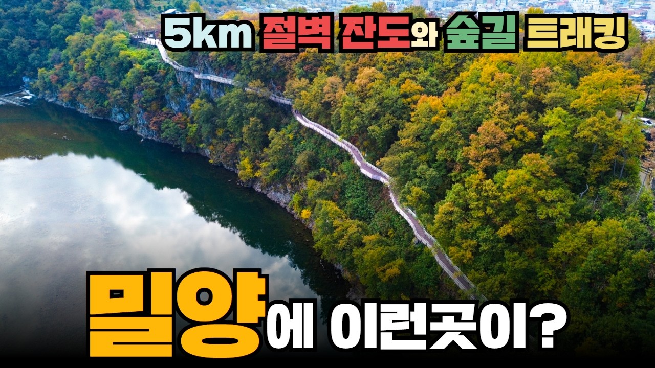 아찔한 잔도와 숲속길이 이어지는 5.2km 힐링코스! 밀양에 이런곳이? 걷고 싶은 길, 달리고 싶은 도시 밀양 가볼만한 곳 10곳 #영남알프스 #가을여행 #밀양에반하다 #밀양여행 