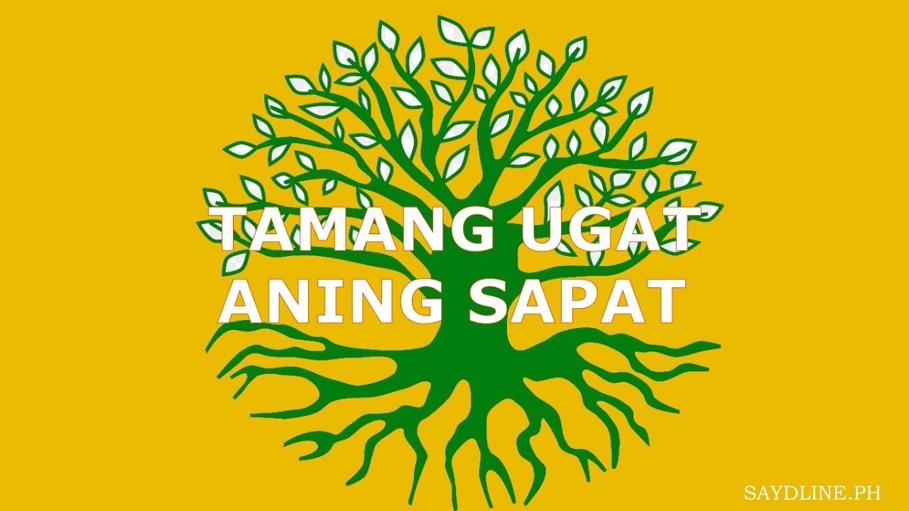 Bakit AYAW LUMAKI ng Kalamansi mo? [NABONSAI!!]