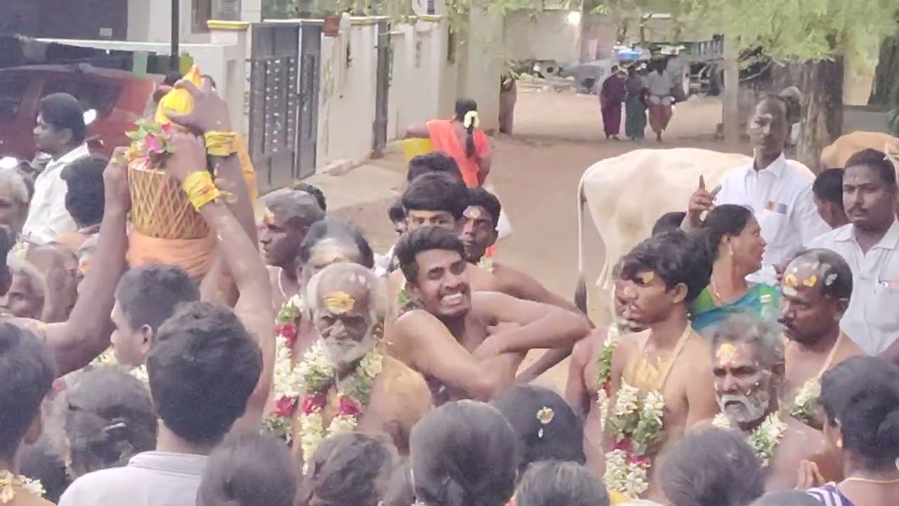 கருப்பச்சாமி ராக்காயி அம்மன் சாமி ஆட்டம் பனையனேந்தல் 2024