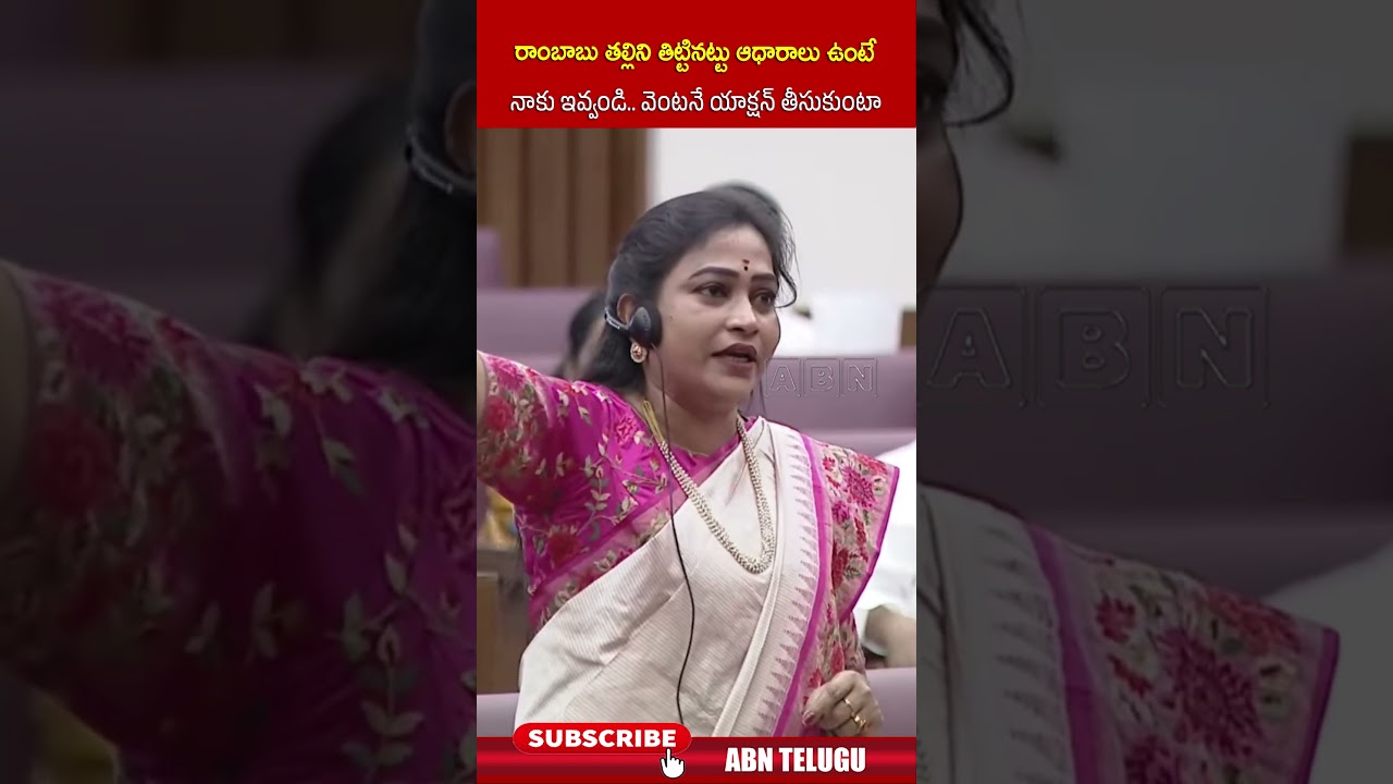 రాంబాబుతల్లిని తిట్టినట్టు ఆధారాలు ఉంటే నాకు ఇవ్వండి..వెంటనే యాక్షన్ తీసుకుంటా #ministeranitha #abn