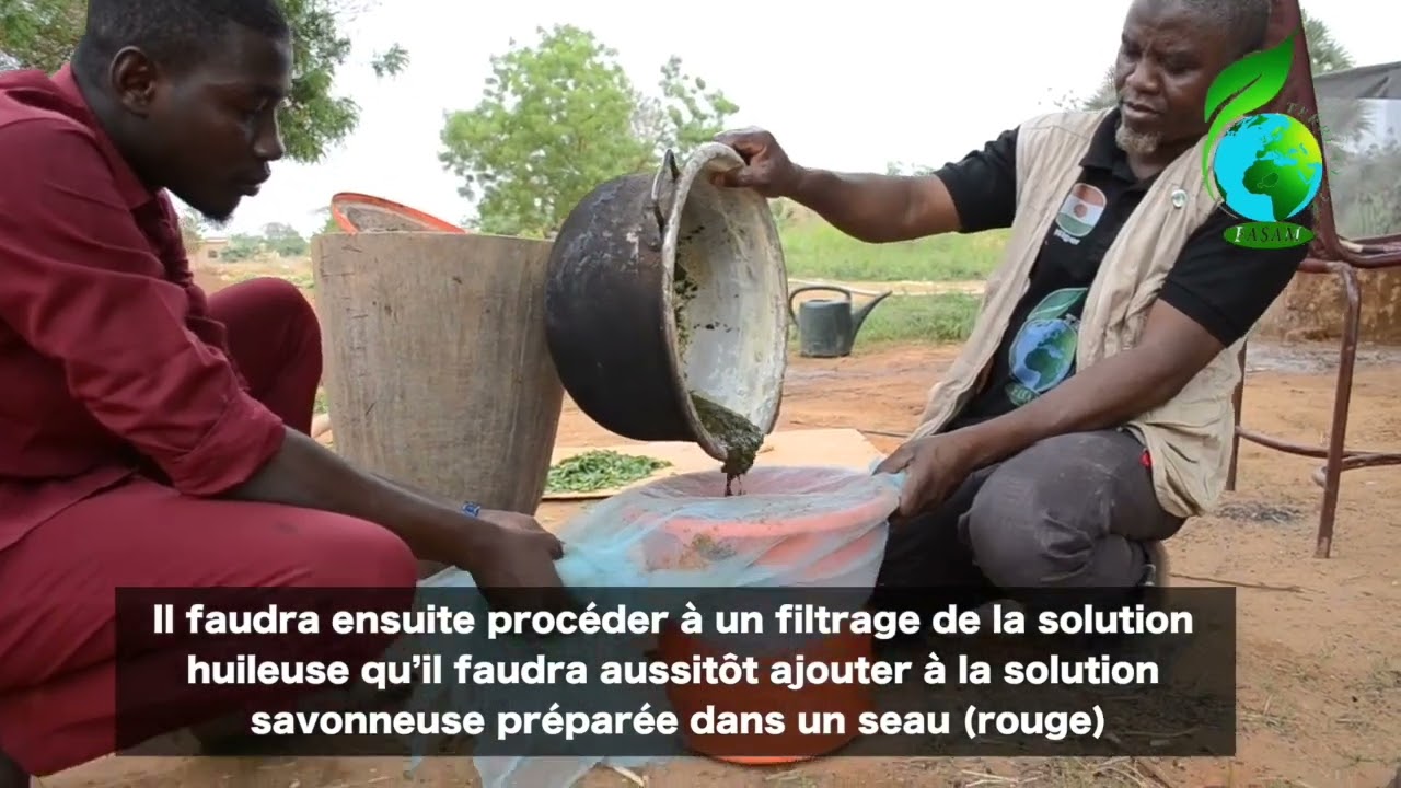 Fabrication de l'Huile de Feuilles de Neem (HFN)