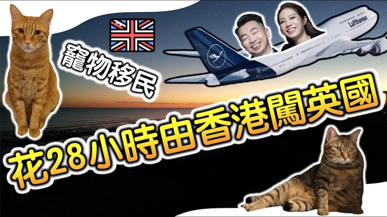 【BNO竉物移民】28小時出走去英國   香港🇭🇰-德國🇩🇪-荷蘭🇳🇱-比利時🇧🇪-法國🇫🇷-英國🇬🇧