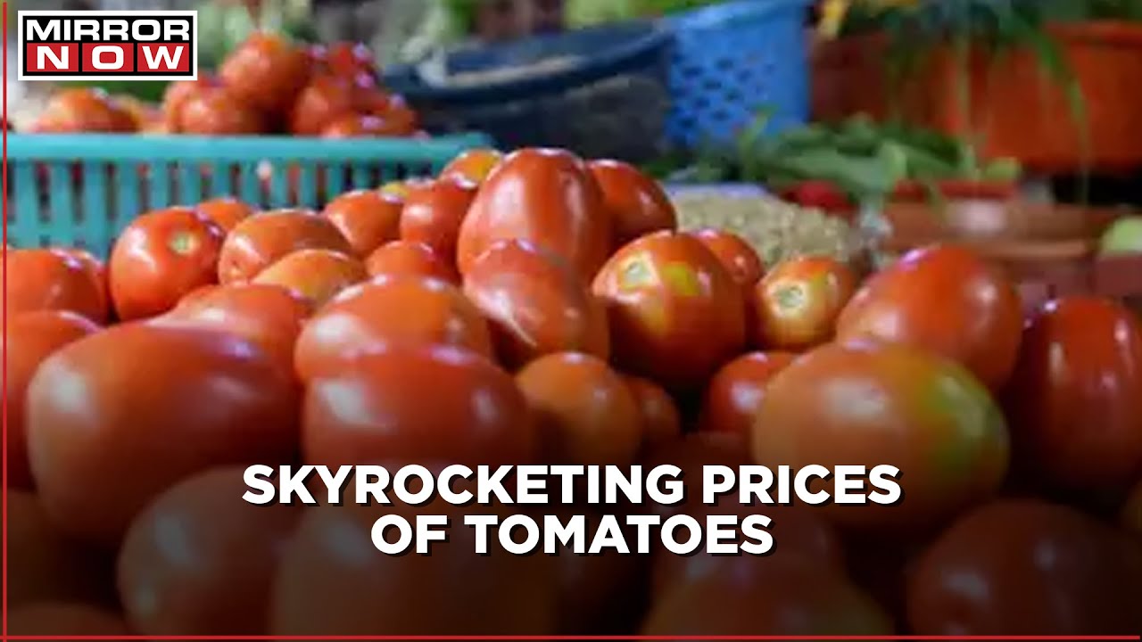 Tomato Price Hike: Incessant Rains Shoot Up Tomato Prices to Rs 140/kg in South India