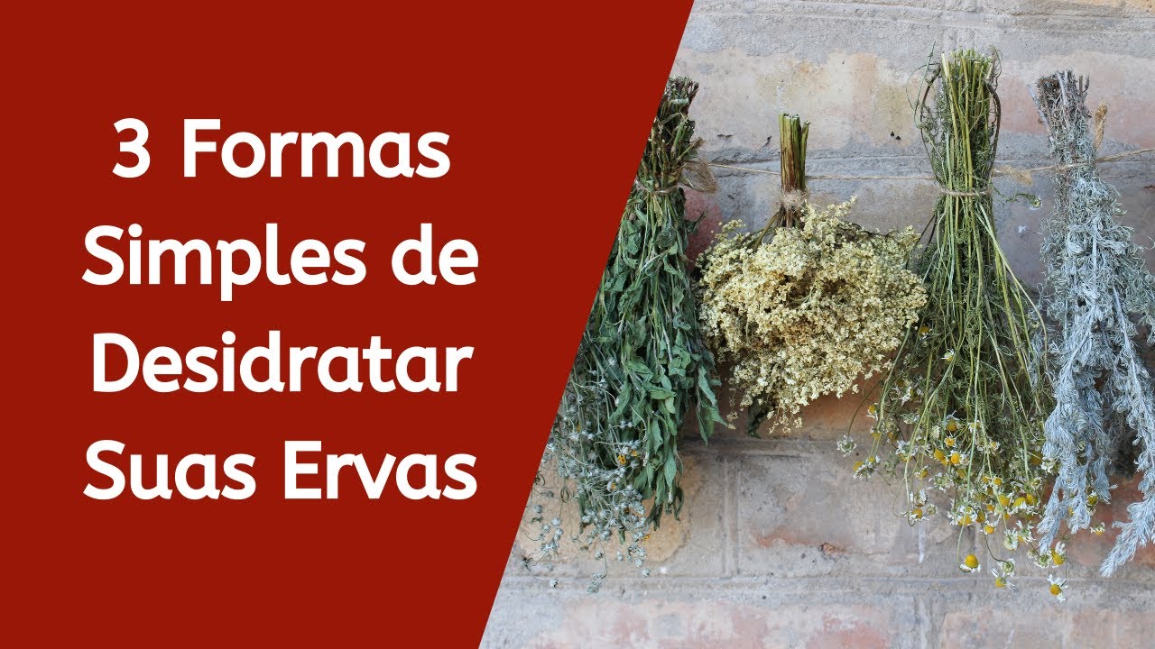 Como Secar Ervas sem Desidratador Conservando suas Propriedades