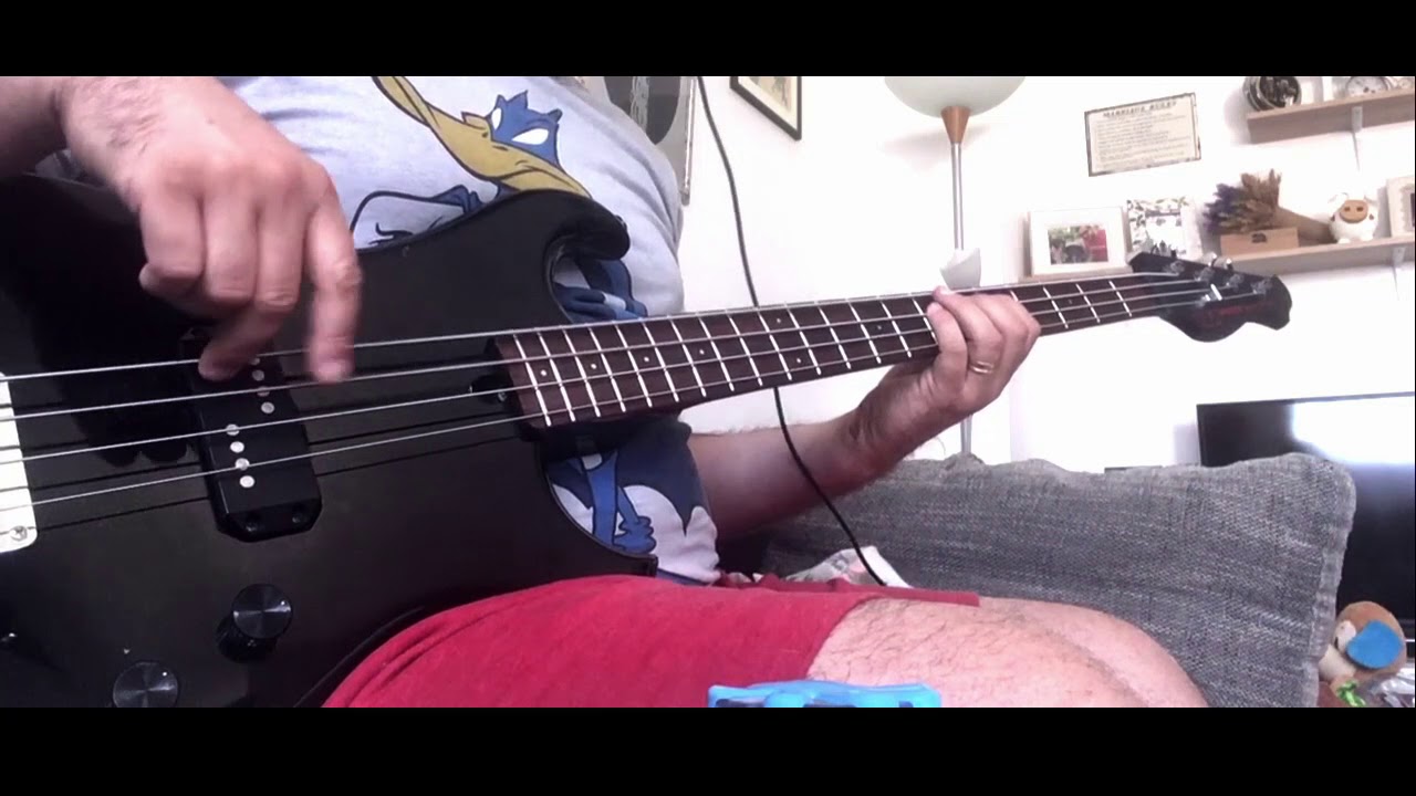 Pink - Just Like a Pill (2 basses cover - Peavey, Westone)
