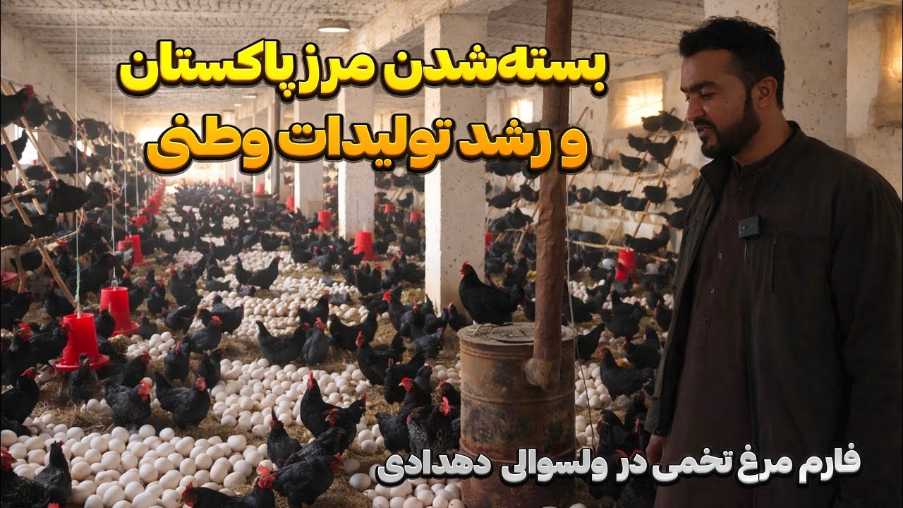 با سرمایه کم هم می‌شود فارم ساخت؟ بررسی هزینه‌ها