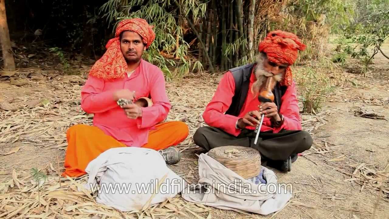 Snake charmers do their thing, which is what? They charm snakes, per se!
