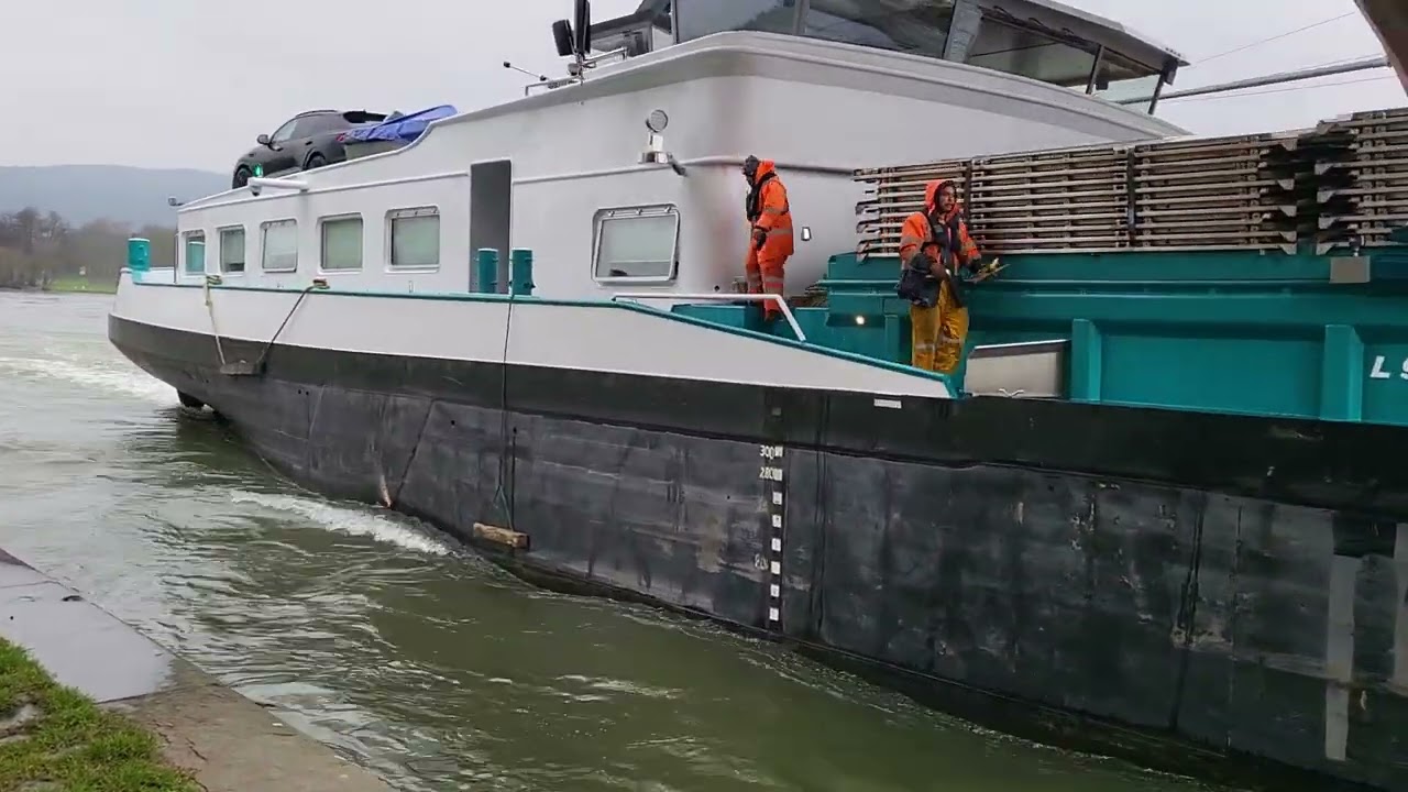 Koppelverband Samary/Samary II in Lohr zu Berg