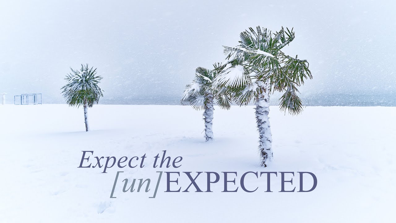 Expect the Unexpected, Vine, December 13, 2020