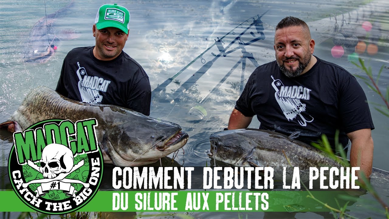 Comment débuter la pêche du silure au pellet