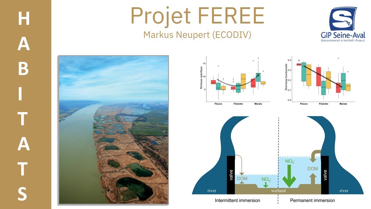 Estuaire de Seine : leçons écologiques du continuum terrestre-aquatique (SA6)
