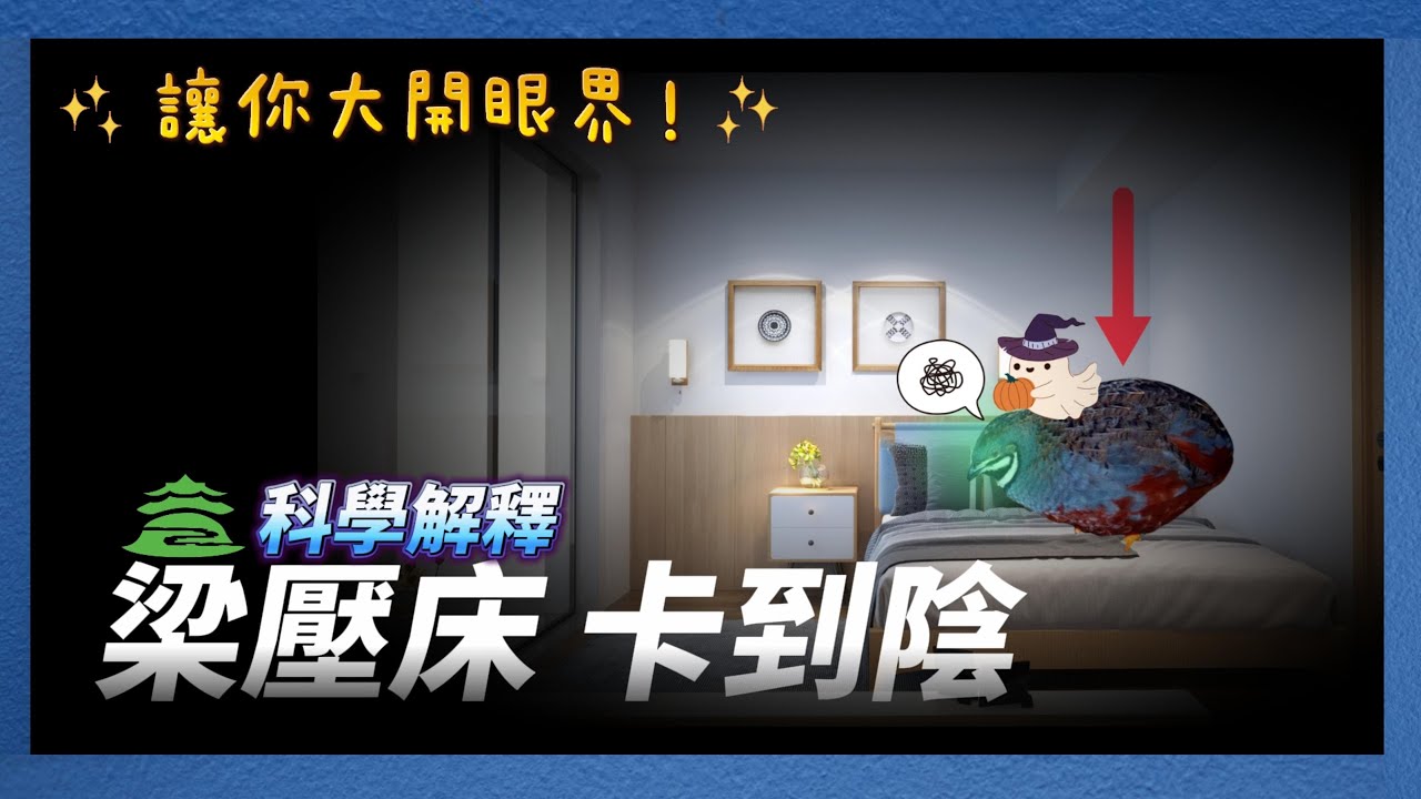 讓你大開眼界！科學解釋🔍梁壓床、卡到陰 | 豐之丘風水命理占卜診聊室