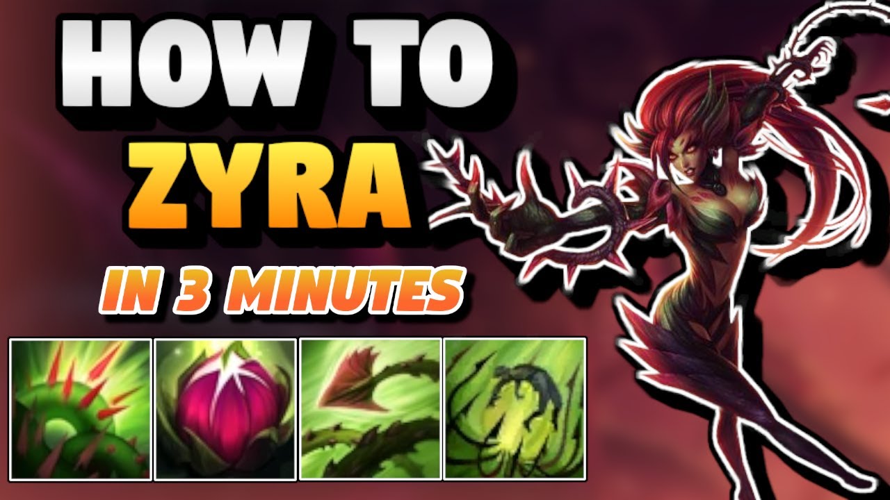 How To Zyra Support in *Under 3 Minutes*