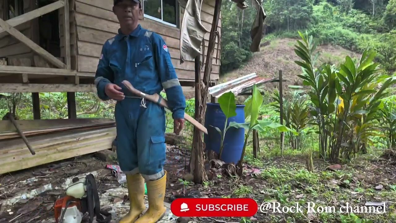 Activity Sambung menebas di kebun buah-buahan