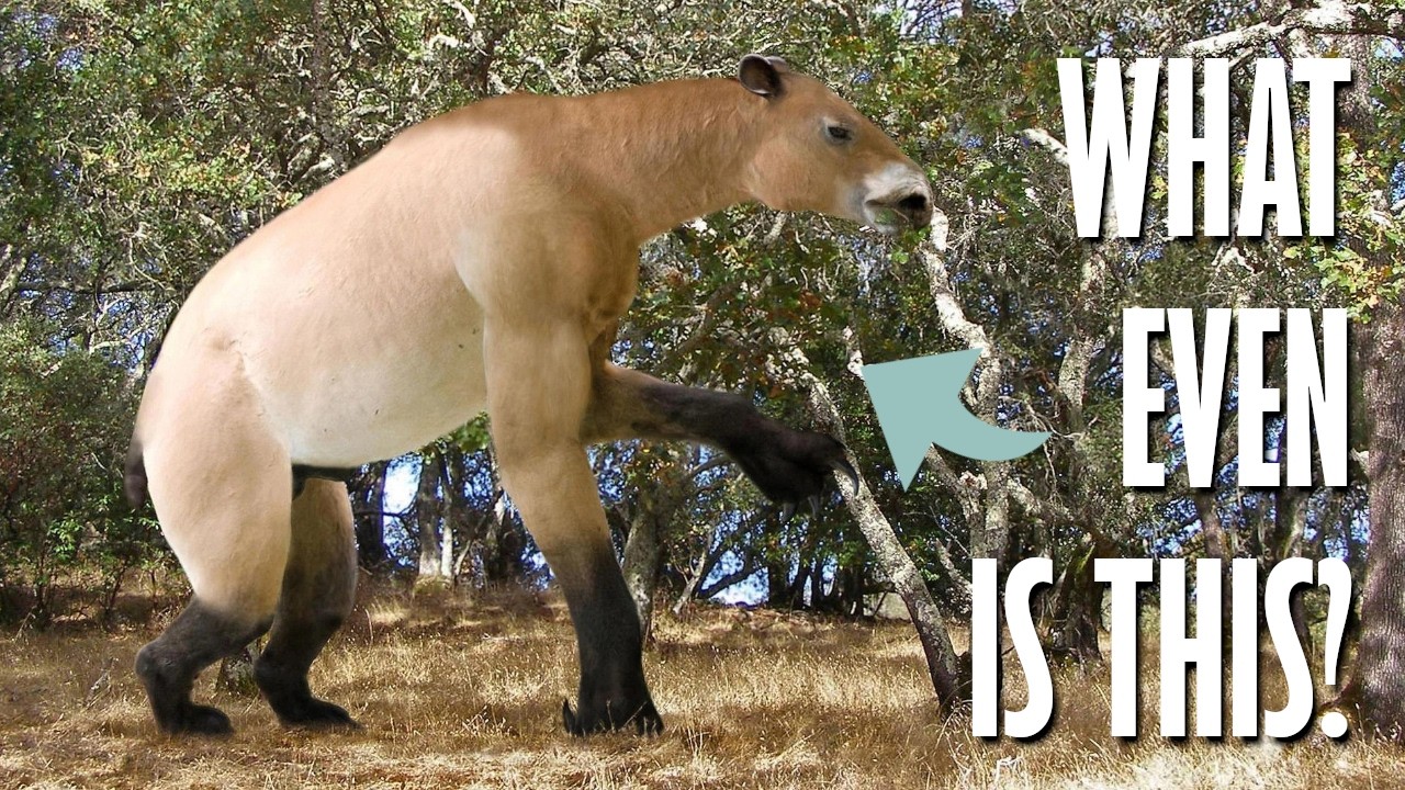 Chalicotherium | Just how weird can mammals get?