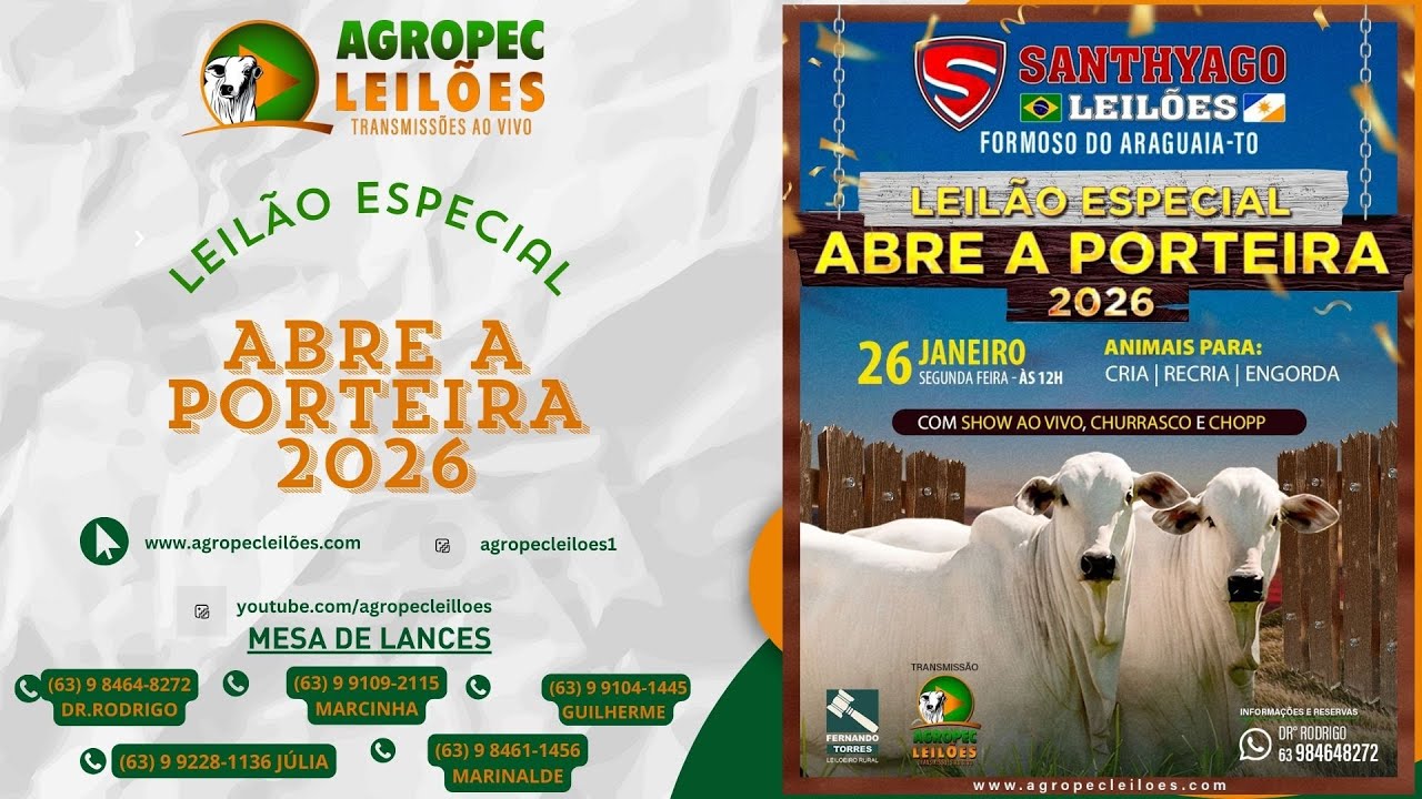 Agropecleiloes AO VIVO | LEILÃO GADO DE CORTE | SANTHYAGO LEILÕES |FORMOSO DO ARAGUAIA-TO | 26/01/26