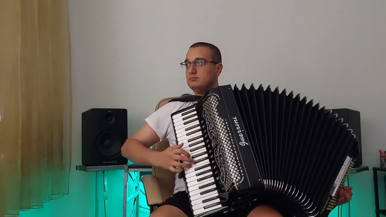 Haris Džinović-Ostariću, neću znati (harmonika)