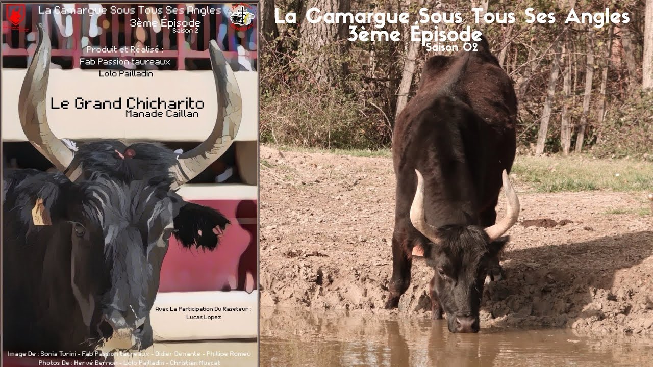 3ème Épisode Saison 02 de La Camargue Sous Tous Ses Angles - S02E03