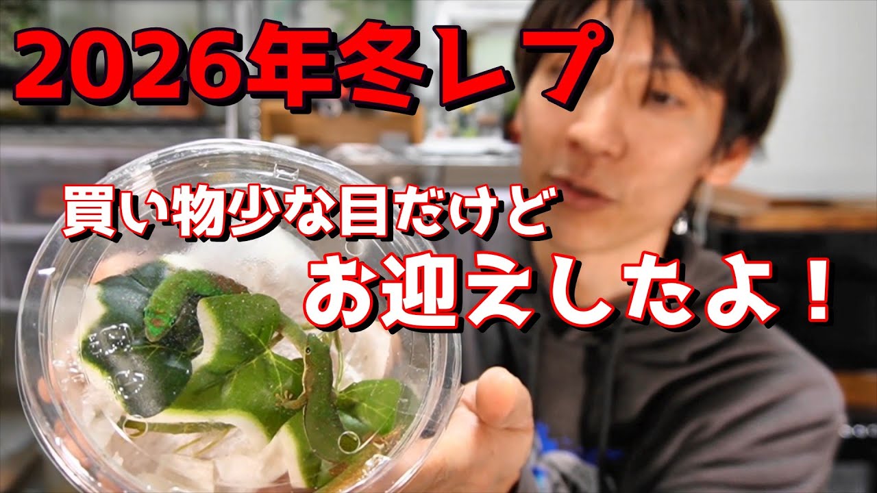 2026冬レプ（１月１８日）