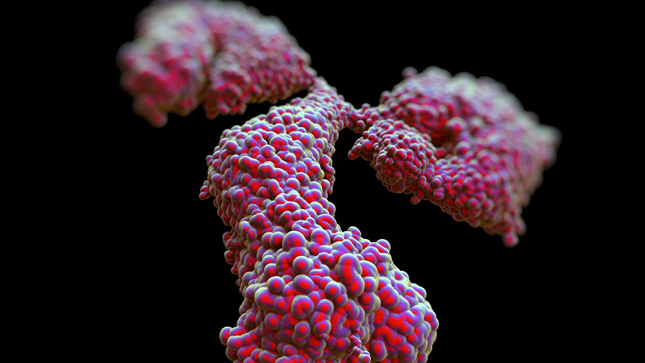 Human Physiology - Naturally and Artificially Acquired Immunity