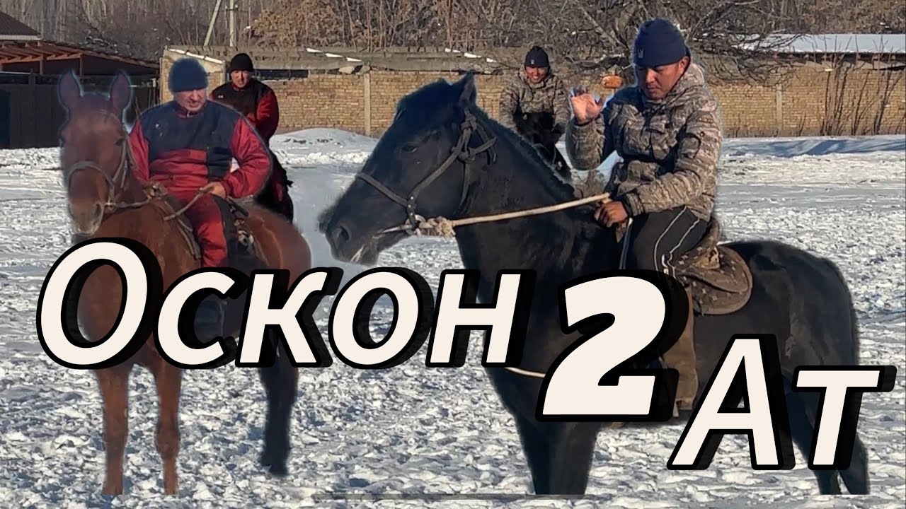 Оскон Акеден 2 Ат чыкты