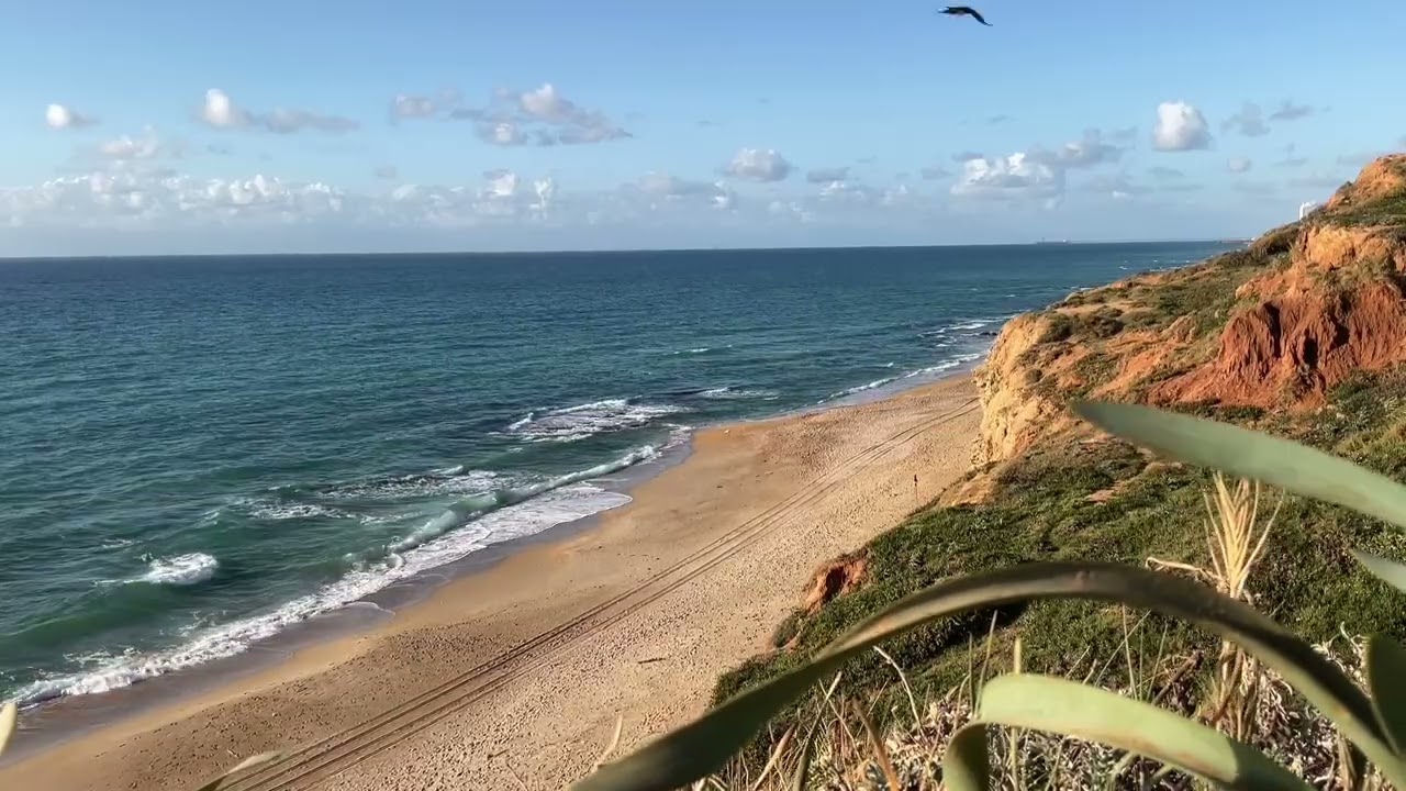 Cliffside Waves and Quiet Shoreline View
