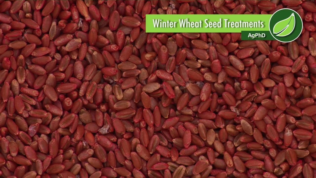 Winter Wheat Seed Treatment #1012 (Air Date 8-27-17)