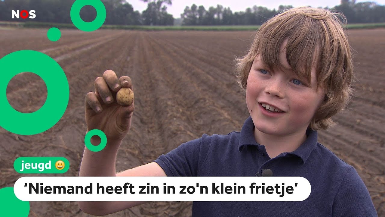 Het regent al dagen, en toch is het te droog. Hoe dan?!