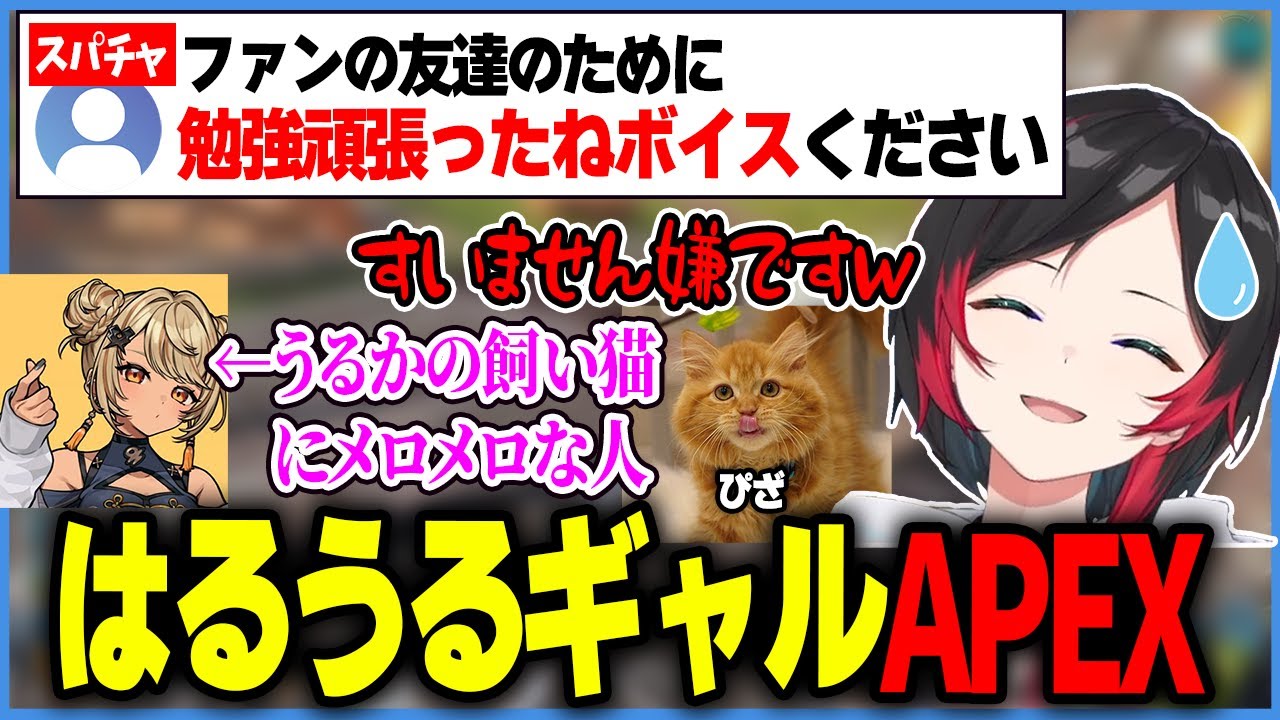 スパチャで頑張ったねボイスをねだられるうるかとうるかの飼い猫にメロメロなきゅーちゃん【うるか/渋谷ハル/神成きゅぴ/ぴざ/APEX】