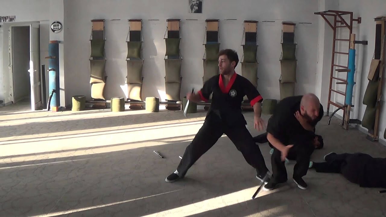 Armenian Wing Tsun (Винг Чун), Fighting Multiple Opponents, Master Hovhannes Musheghyan