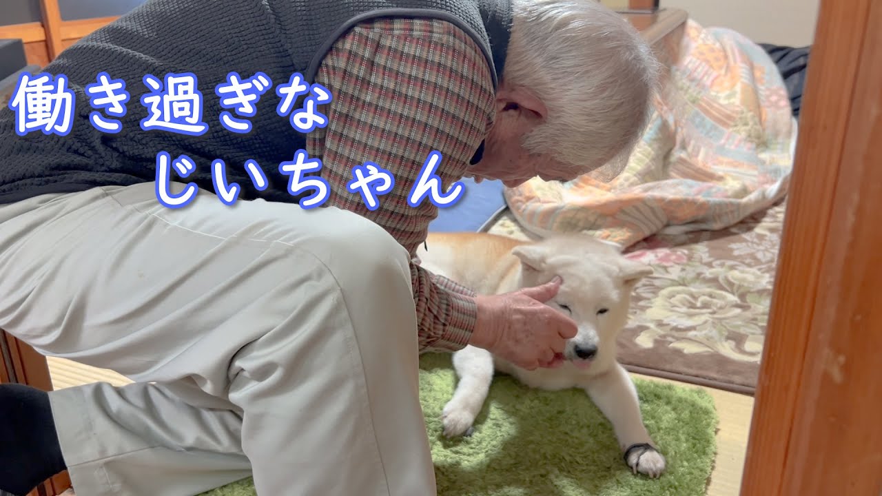【働きすぎるじいちゃん８７歳】リアルモーニングルーティンwith柴犬
