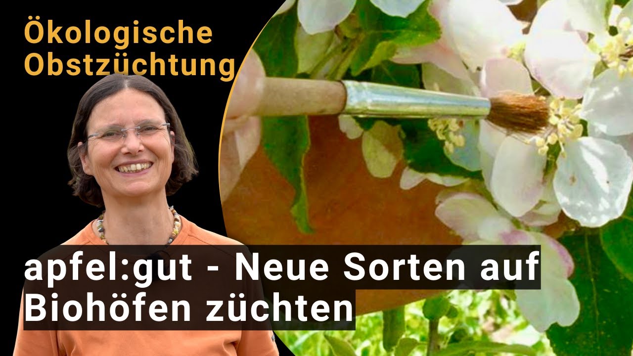 Partizipative Apfelzüchtung - neue Sorten auf ökologischen Obstbaubetrieben züchten