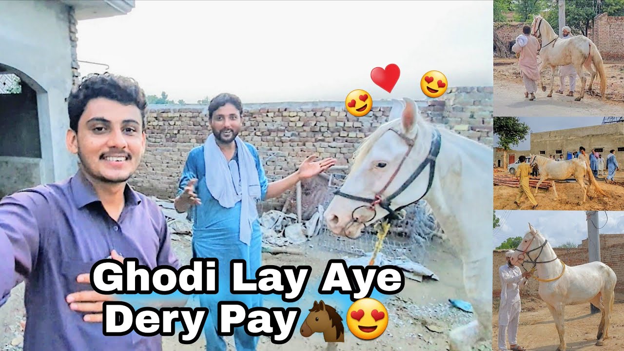 Ghodi Lay Aye Talha Bhai K Dery Pay 🥰&hearts;️