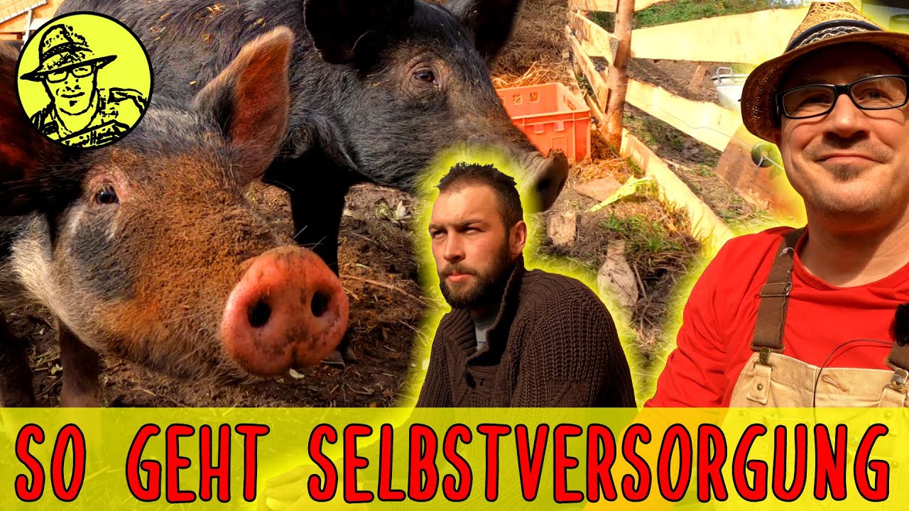 So geht Selbstversorgung - mit Hühnern, Enten, Schweinen, Puten