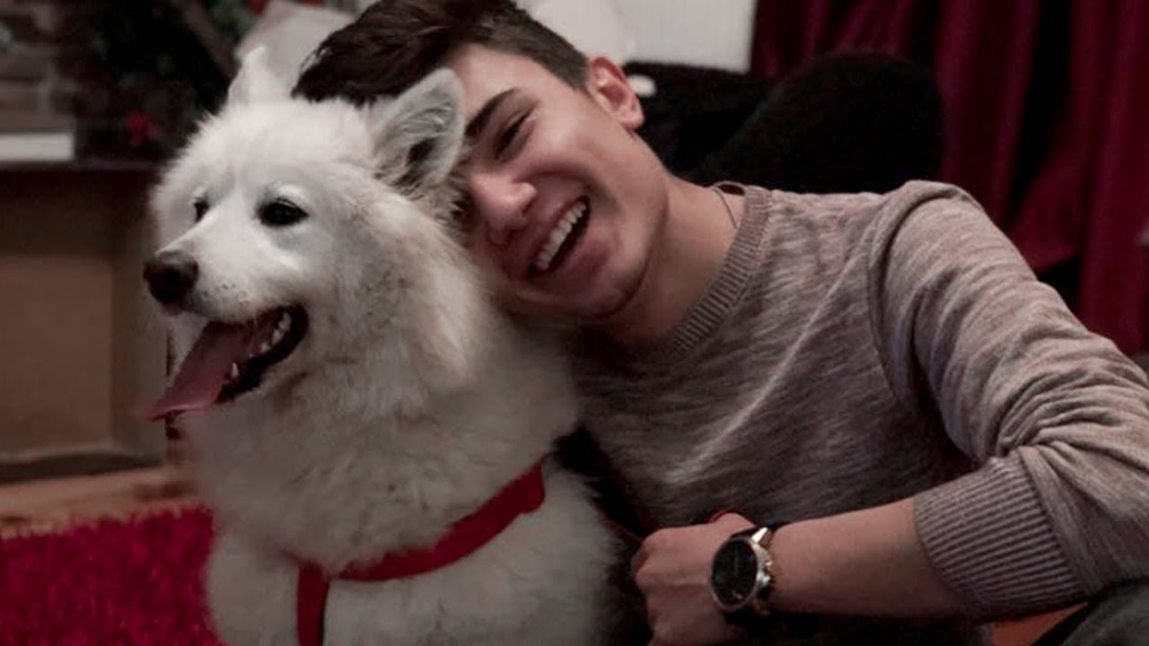KÖPEĞİM ÇITIR İLE BİR GÜN GEÇİRMEK !
