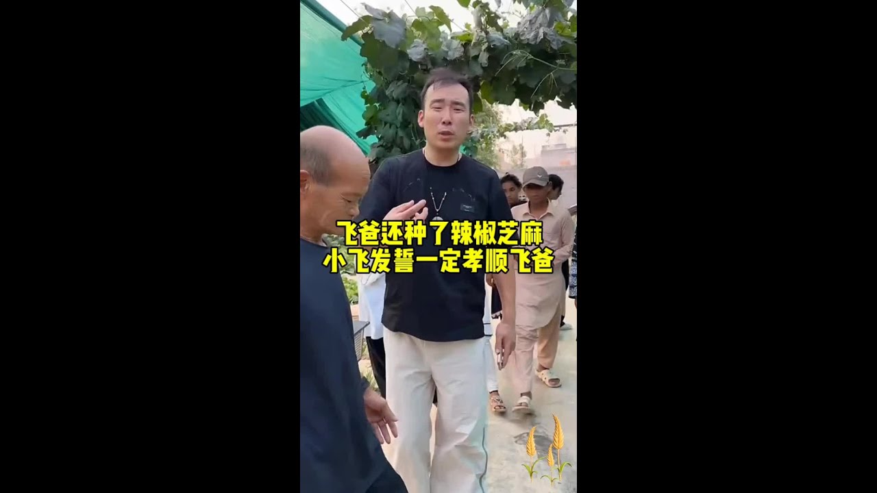 飞爸在菜园加种了白菜 辣椒 芝麻，小飞回忆过往发誓一定要孝顺飞爸#星光村日常 #星光村小飞 #小飞和星光村的故事