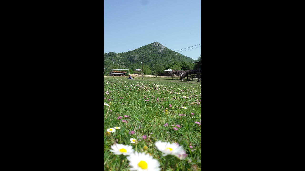 GÖLYERİ-KOÇLU KÖYÜ