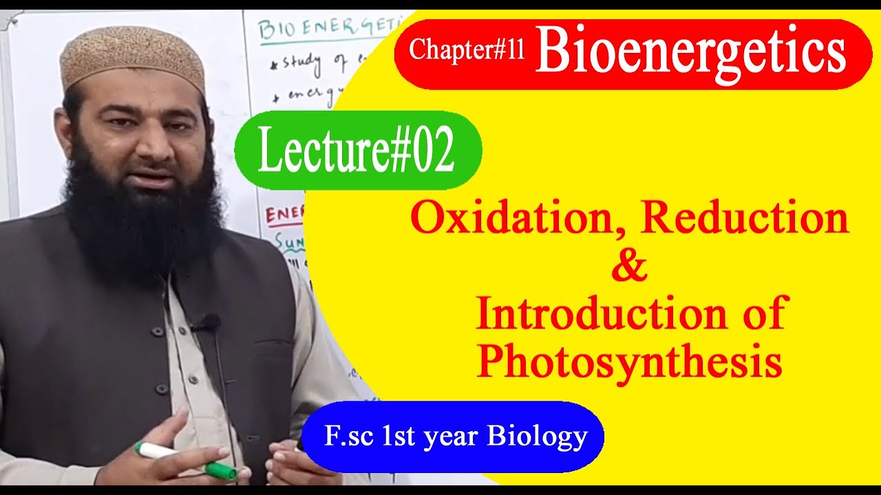 Biology Ch#11-Lecture#02 Introduction of photosynthesis  (F.Sc 1st Year)