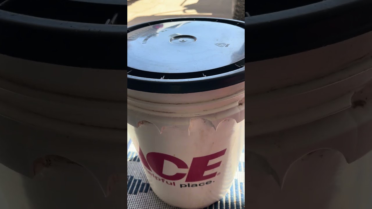 Bucket Comparison Home Depot vs Ace Hardware 5 gal buckets