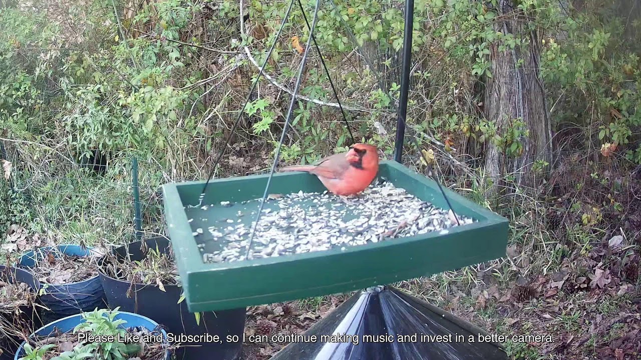 ADHD Focus Music, Perfect for Work | Calm Background for Work & Concentration